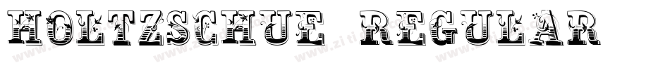 Holtzschue Regular字体转换